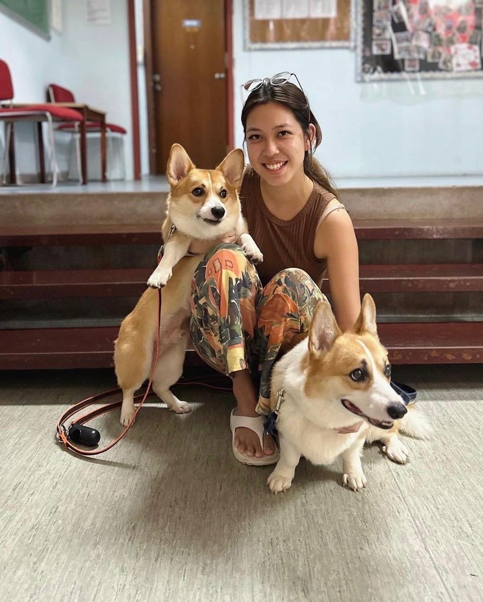A Little Marvels therapist sitting with two therapy corgis